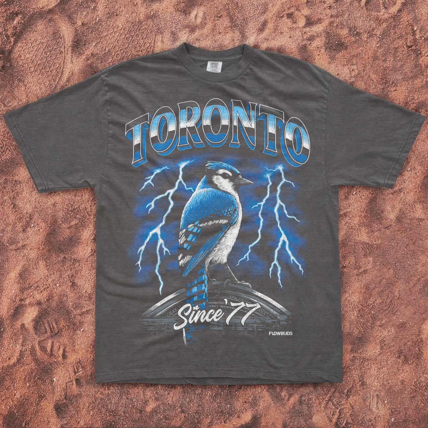 Toronto Since '77 premium t-shirt