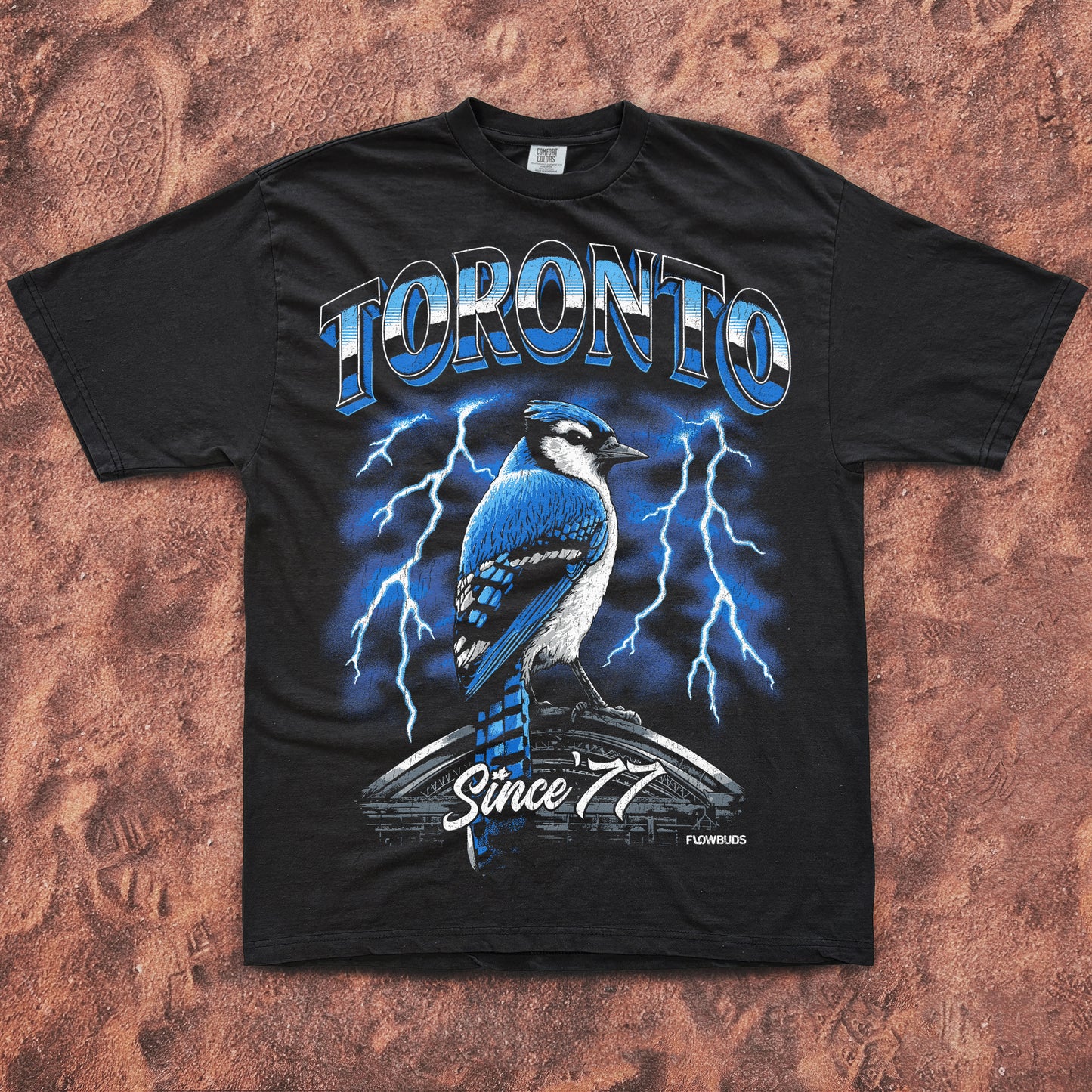 Toronto Since '77 premium t-shirt